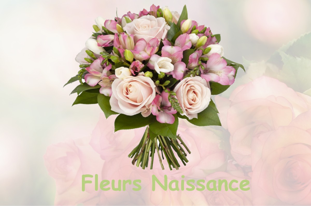 fleurs naissance BORDEAUX-EN-GATINAIS